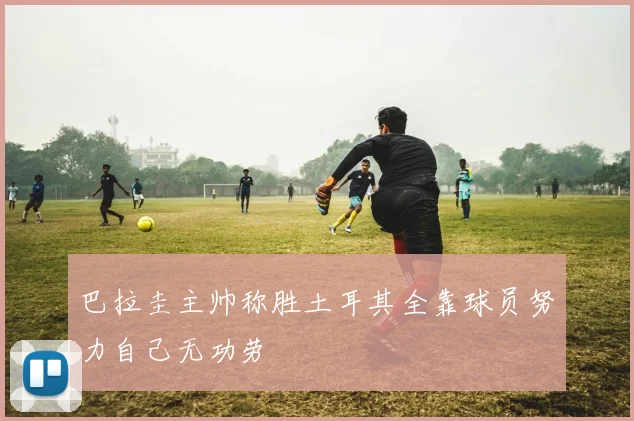 巴拉圭主帅称胜土耳其全靠球员努力自己无功劳