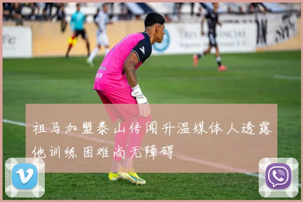 祖马加盟泰山传闻升温媒体人透露他训练困难尚无障碍
