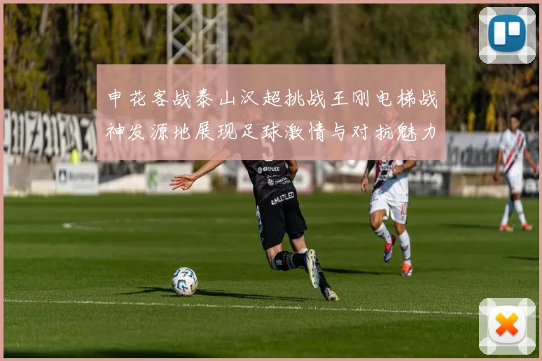 申花客战泰山汉超挑战王刚电梯战神发源地展现足球激情与对抗魅力